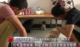 沭阳刘大姐爆料视频最新,揭秘背后惊人真相